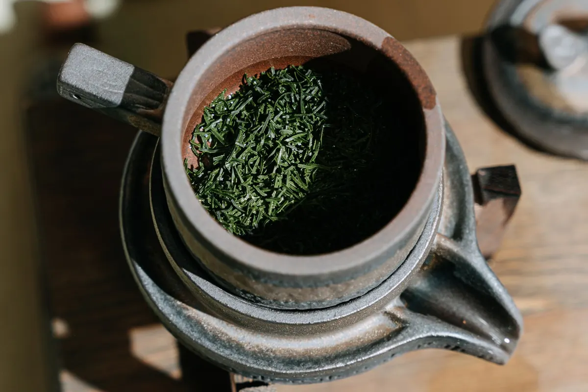 Tea Oxidation Explained: How White, Green, Oolong, and Black Tea Differ